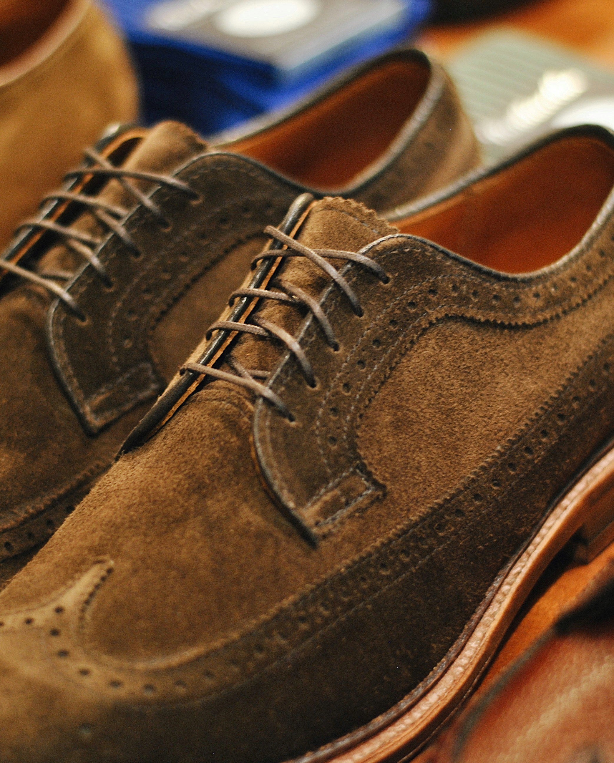"Scholar" Long Wing Blucher in Humus Suede, Barrie Last