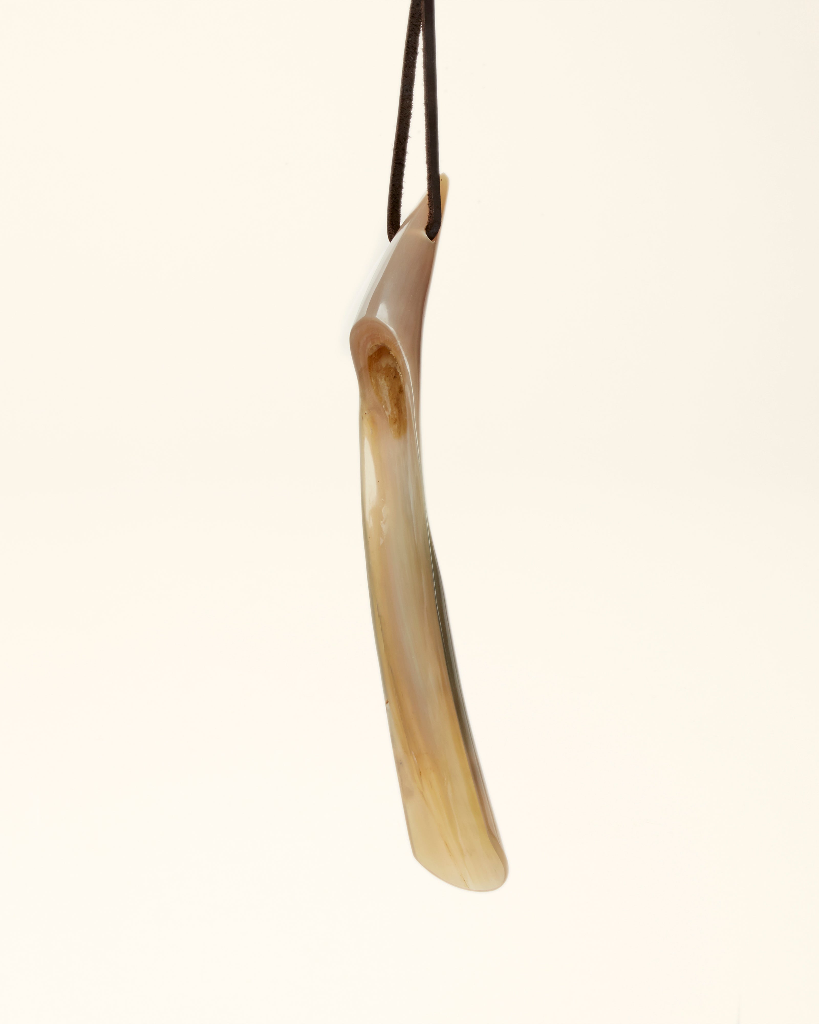 Real Shoe Horn